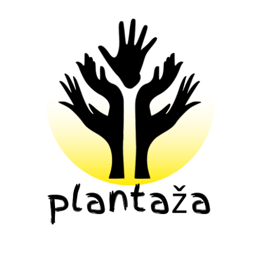 Dasminium plantaža dunja