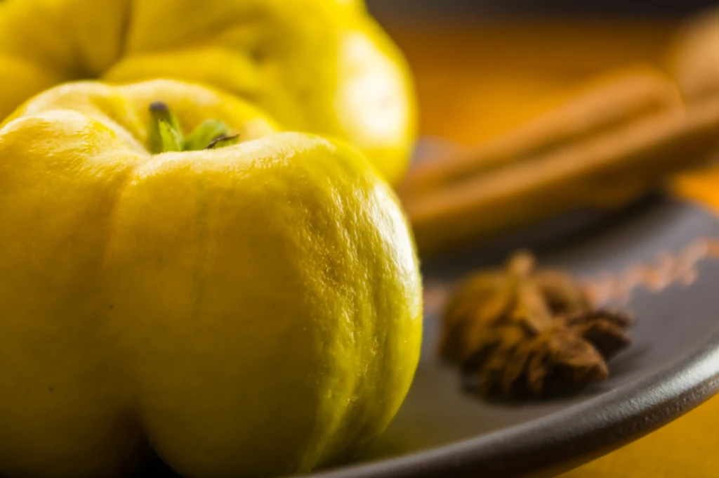 large-yellow-quince-fruits-on-a-ceramic-plate-wit-2025-10-11-13-11-59-utc