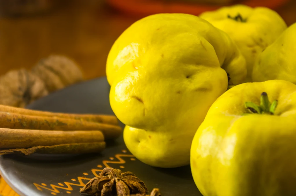 large-yellow-quince-fruits-on-a-ceramic-plate-wit-2025-10-12-03-16-53-utc