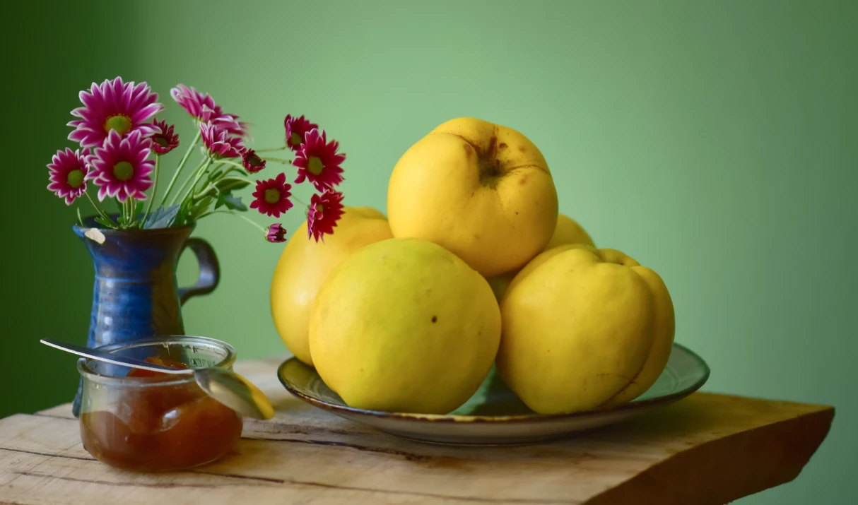 Dunja – Zlatno voće Balkana: Sve što treba da znate (kompletan vodič)