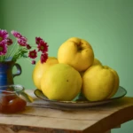 still-life-with-fruits-2024-12-07-13-17-54-utc